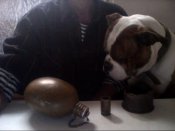 Snapshot_20141020_1.JPG