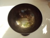DSC07629.JPG