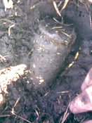 Image004.jpg