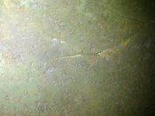 IMG-20141021-09716.jpg