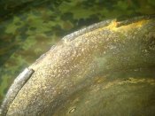 IMG-20141021-09718.jpg