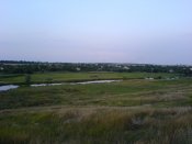 DSC09515.JPG