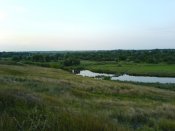 DSC09517.JPG