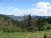 IMG_0002.jpg