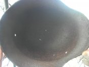 PICT2053.jpg
