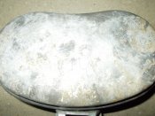 DSCN2890.JPG