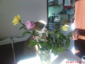 DSC02969.JPG