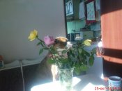 DSC02968.JPG