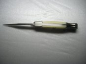 P1010015.JPG