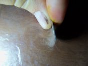 100_5026.JPG