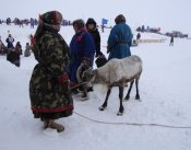 в ож ж п.jpg