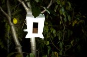 l_gallery_luminaid_night.jpg