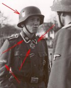 4091944.jpg