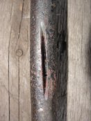 DSC05550.JPG