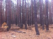 IMG_0677.JPG