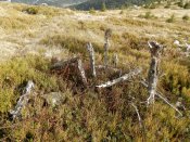 PA295569.JPG