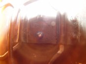 DSC09035.JPG