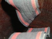 DSCN0129.JPG