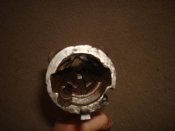 DSC06874.JPG