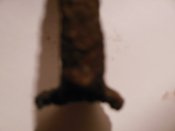 DSCN2803.JPG