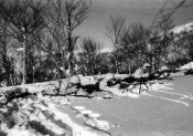 11708_Alpini in alta montagna appostati con le mitragliatrici nell'inverno 1941.jpg