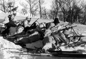 11774_Alpini sciatori in alta montagna appostati nell'inverno 1941.jpg