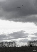 DSCF2949_r.jpg