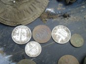 SDC16811.JPG