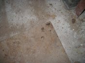 IMG_4699.JPG
