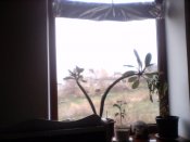 Snapshot_20141106.JPG