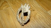 DSC00011 (Копировать).JPG