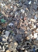 20141106_102353.jpg