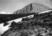 01677_Alpini in avanzamento nelle Alpi occidentali nel giugno 1940.jpg