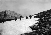 01680_Alpini in avanzamento nelle Alpi occidentali nel giugno 1940.jpg
