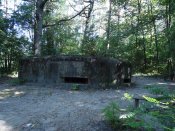 DSC02579.JPG
