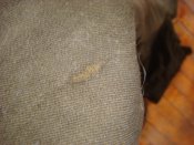 DSC07315.jpg