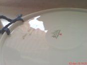 DSC00082.jpg