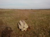 Розетский камень.jpg