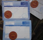 IMG_9030.JPG