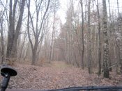 IMG_1498.JPG