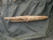 SDC16830.JPG