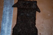 DSC_0007.JPG