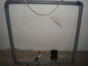 DSC07698.JPG