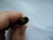 DSC05280.JPG