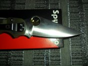 SAM_0342.JPG