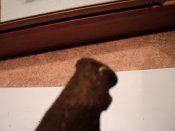 DSC05303.JPG