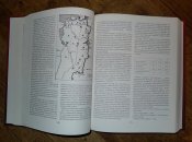 P1450840.JPG