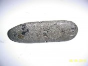 PIC_0661.jpg