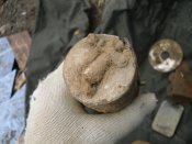 SDC16851.JPG