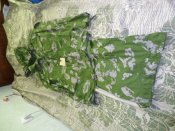 DSC02528.JPG